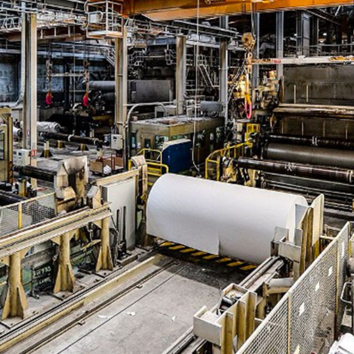 Audit di Terza Parte – Catena di Custodia per prodotti di origine forestale